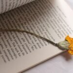 Column | I’m a cynic. These 5 stories this year gave me hope for humanity.