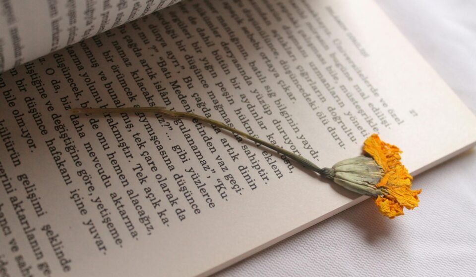 Column | I’m a cynic. These 5 stories this year gave me hope for humanity.