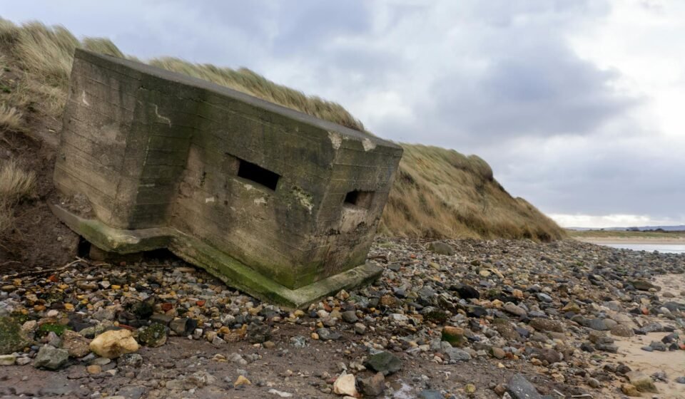 He Spread Kindness Everywhere He Went: Finley and Veronica’s Story