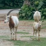 Marshall residents remain hopeful despite ongoing recovery needs