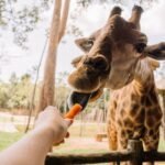 Good Deed: Volunteer Energy Cooperative supports first-responder agencies