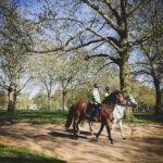 How a police data centre is heating London’s homes