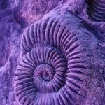 Wilonsky: A mom deported, 4 kids left behind and an 80-year-old Dallas Girl Scout troop leader’s good deeds