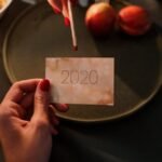 Staff profile: Sophia Veneziano, The Dispatch’s human kindness reporter