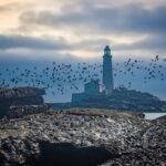 Good deed on I-20: Deputy helps man in need