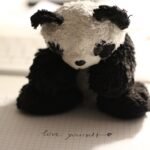 Feel Good Blog of the Week: A Real-Life Teddy Bear Hospital 🧸❤️ – q1019.iheart.com