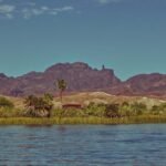 ‘No good news’: Colorado River forecast gets historically bad