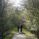 Woodland walks cut anxiety, study finds