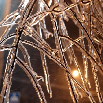 Local couple recognized for good deed during ice storm