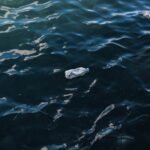 Young inventor plans to stop 90% of floating sea plastic by 2040