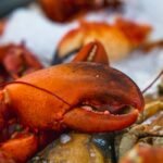 Rare Split-Colored Lobster Caught Near Cape Cod is Donated to Aquarium: A One in 50 Million Catch (LOOK)