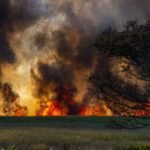 Thousands Donate to Help Nebraska Ranchers Who Couldn’t Feed Their Herds After Wildfires Burn Every Acre
