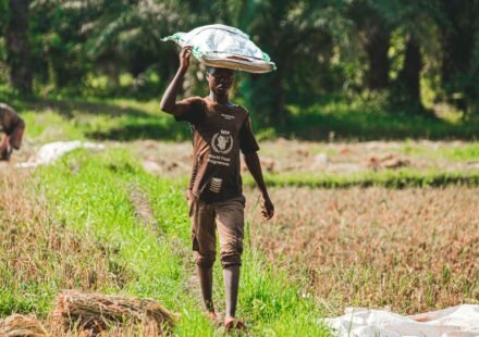 How a farming programme in Sierra Leone helps amputees rebuild lives