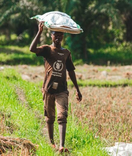 How a farming programme in Sierra Leone helps amputees rebuild lives