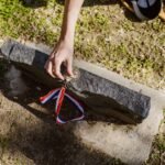OPINION: Hopecore: Stories you can feel good about – dailynebraskan.com