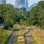 6 feel-good stories to start your Monday: Minnesota’s longest bike path, $250M for pet care & more